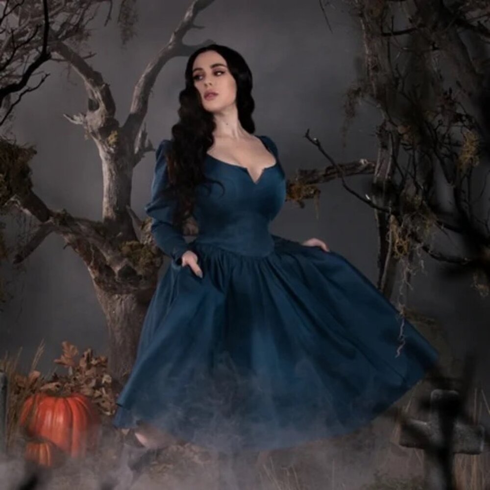 La Femme En Noir Lady Crane Dress in Blue sz Small